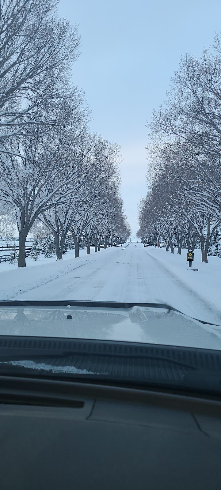 Highfield Stock Farm Inc | 402007 96 St E, Aldersyde, AB T0L 0A0, Canada | Phone: (403) 652-1185