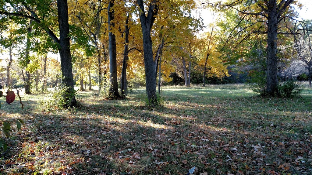 Algonac State Park | 8732 N River Rd, Marine City, MI 48039, USA | Phone: (810) 765-5605