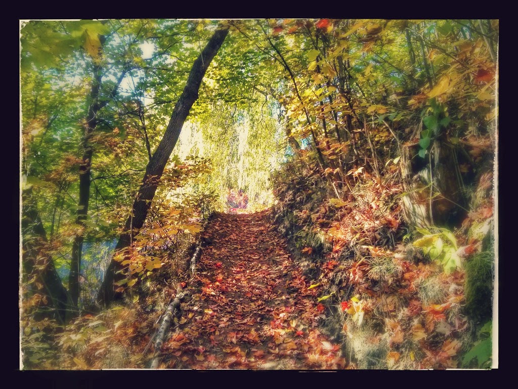 Parc de Marseille | Rue de Marseille, Trois-Rivières, QC G8Y 4C1, Canada