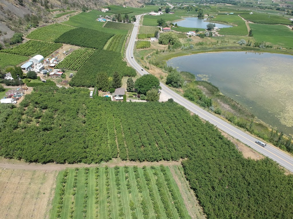 Stevens Farms | 3828 Okanagan Hwy, Osoyoos, BC V0H 1V5, Canada | Phone: (250) 689-1137
