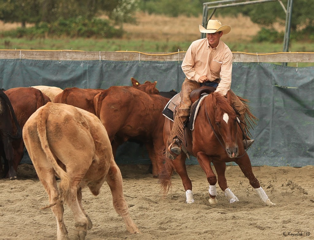 Cayley Wilson Performance Horses, Inc. | 1280 Powerhouse Rd, Abbotsford, BC V3G 1T7, Canada | Phone: (604) 300-0401