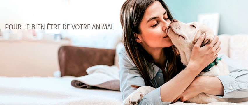 Pattes et Griffes | 1107 Bd du Curé-Labelle #101, Blainville, QC J7C 2N2, Canada | Phone: (450) 437-3720