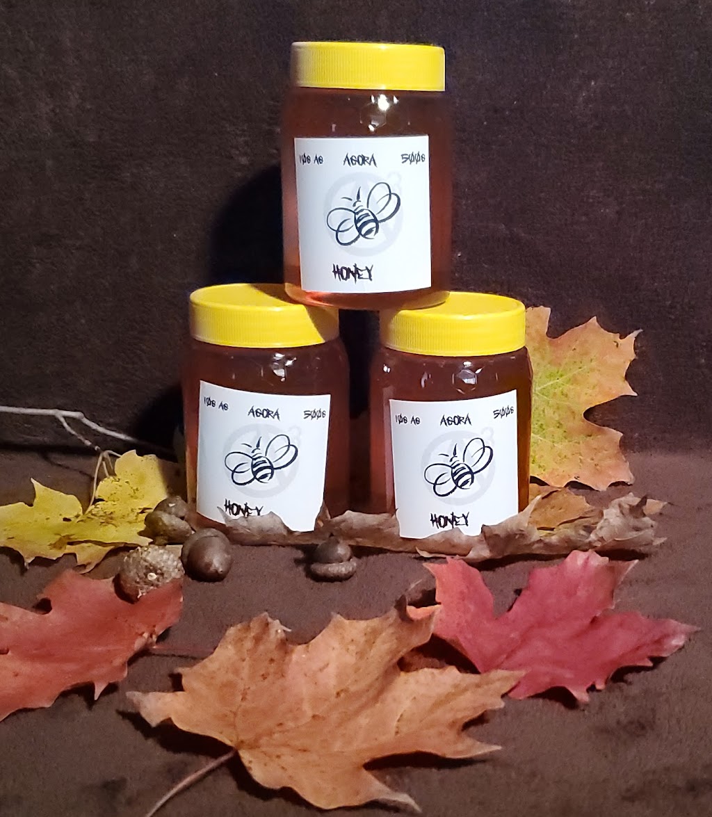 Agora Honey | 8080 511, Lanark, ON K0G 1K0, Canada | Phone: (613) 508-1250
