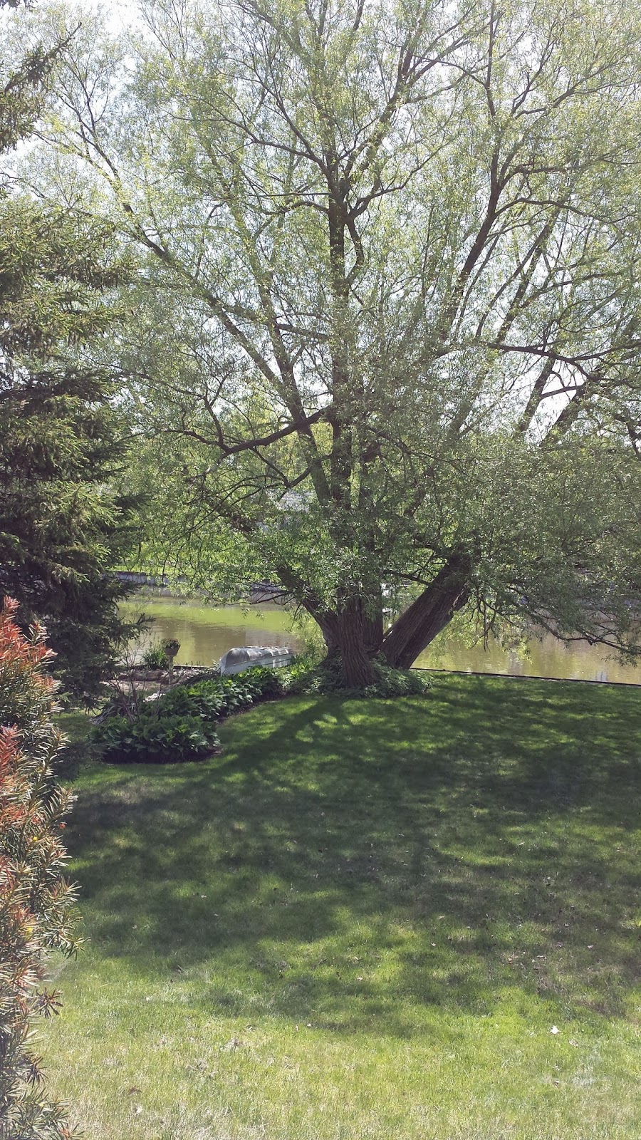 Assisted Adult Living | 21 Frederick Dr, Wasaga Beach, ON L9Z 1P1, Canada | Phone: (705) 351-0006