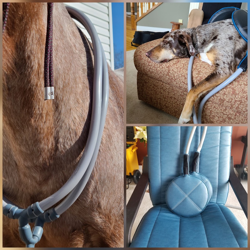 Komet Pulse Therapy | 290237 192 St W, Millarville, AB T1S 2V5, Canada | Phone: (403) 922-6306
