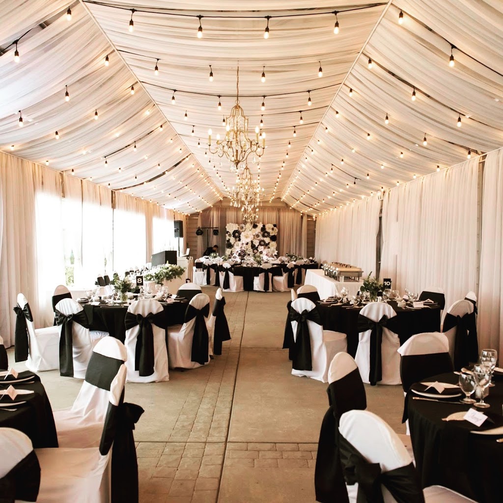 PartyTree Events | 44335 Yale Rd, Chilliwack, BC V2R 4H2, Canada | Phone: (604) 506-6038