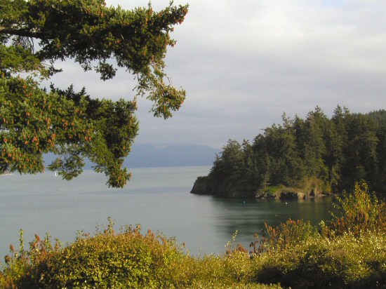 Lummi Island Realty LLC | 2211 N Nugent Rd, Lummi Island, WA 98262, USA | Phone: (360) 758-2094