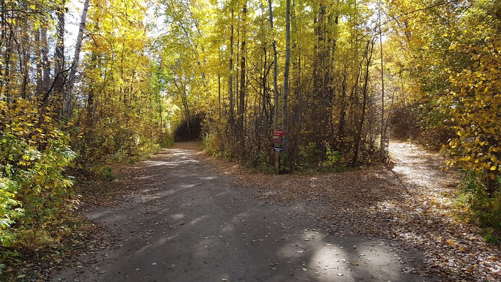 Camp Yowochas | Township Road 532, Fallis, AB T0E 0V0, Canada | Phone: (780) 892-2660