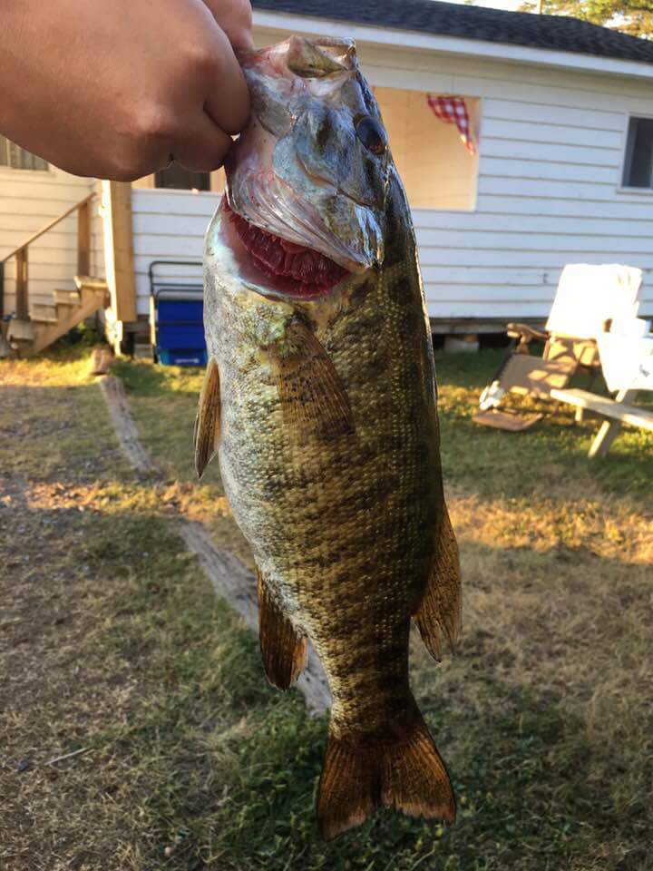 Manor Park Cottages | Burks Falls, ON P0A 1C0, Canada | Phone: (905) 348-2697