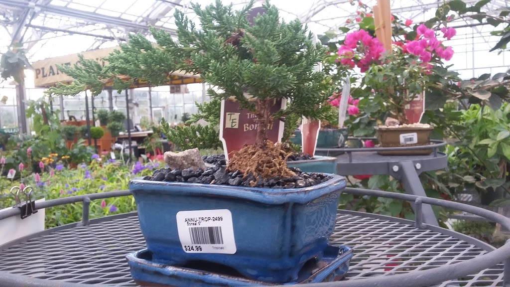 DeGroots Nurseries | 1840 London Line, Sarnia, ON N7T 7H2, Canada | Phone: (519) 542-3435