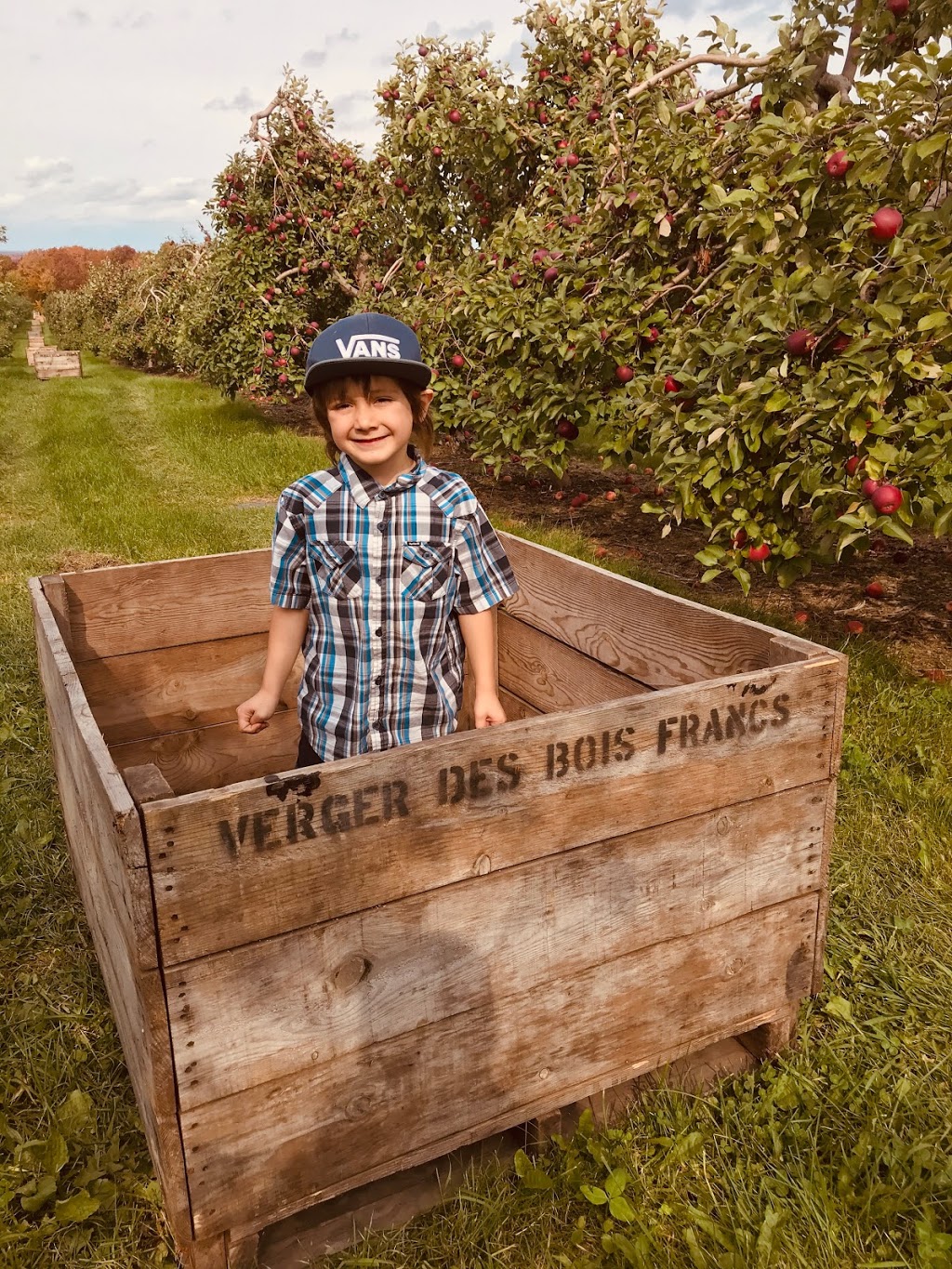 Verger des Bois-Francs | 2655 Rue Saint Calixte, Plessisville, QC G6L 1S6, Canada | Phone: (819) 364-5783