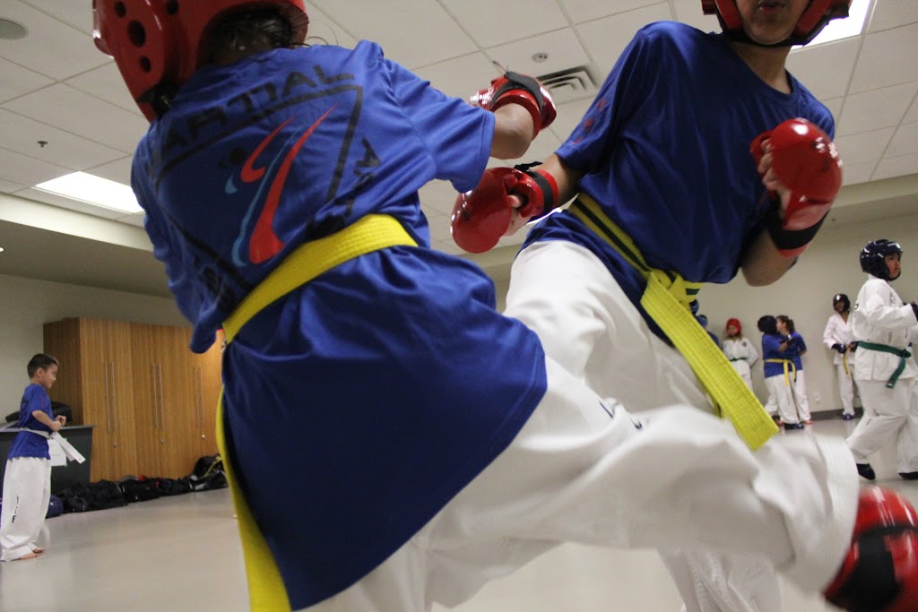 Destiny Martial Arts | 7555 Falconridge Blvd NE #10, Calgary, AB T3J 0C9, Canada