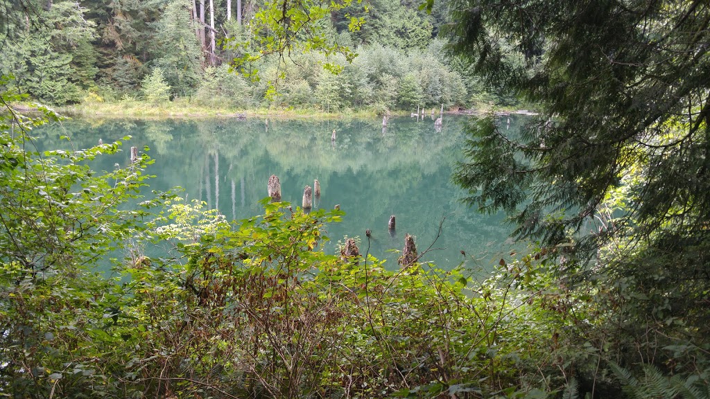 Hayward Lake Reservoir Trail. | 31170 Dewdney Trunk Rd, Mission, BC V4S 1C4, Canada