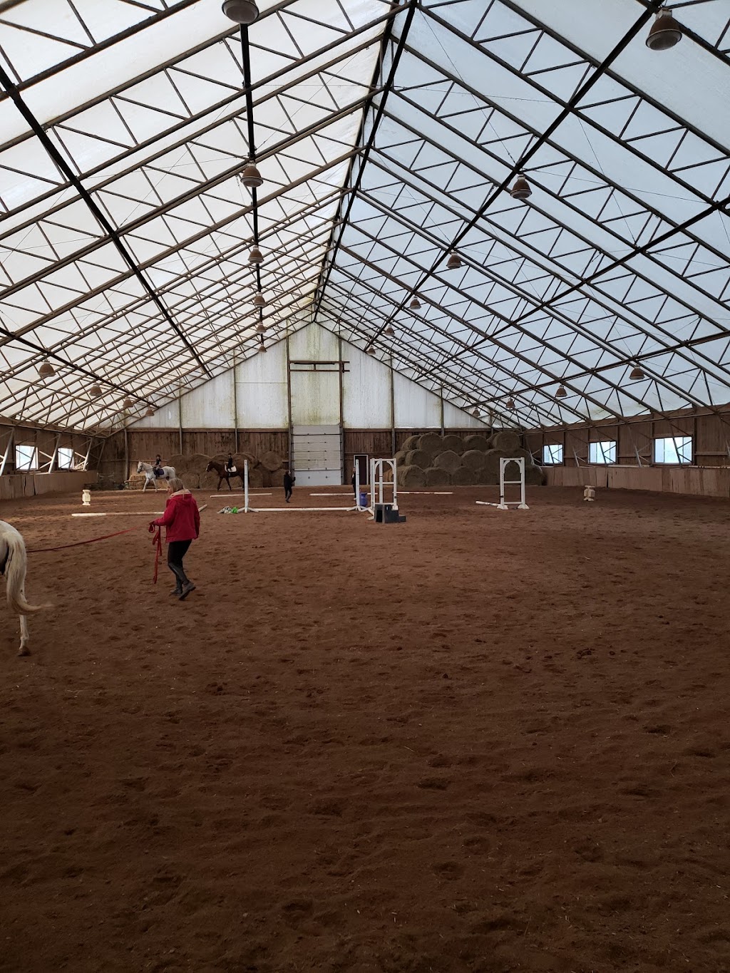 Restless Pines Farm | 1418 Lucasville Rd, Hammonds Plains, NS B4B 1P7, Canada | Phone: (902) 835-7433