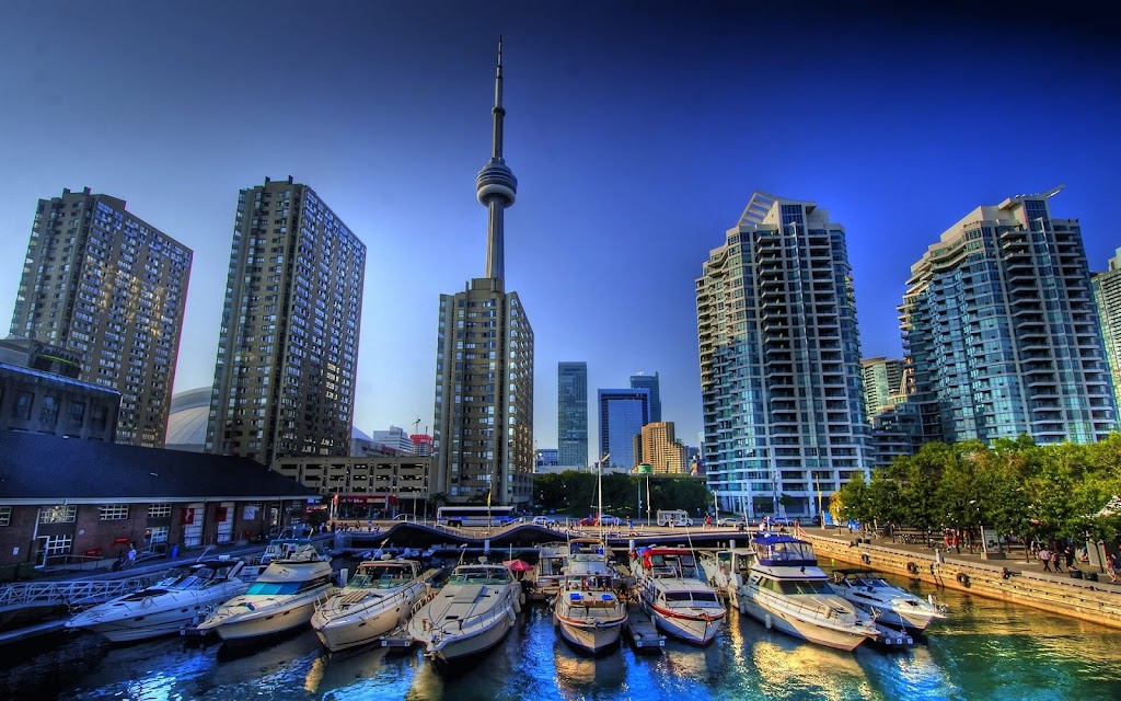 Borg ITS | 87 Wingold Ave Unit 1, North York, ON M6B 1P8, Canada | Phone: (416) 746-4446
