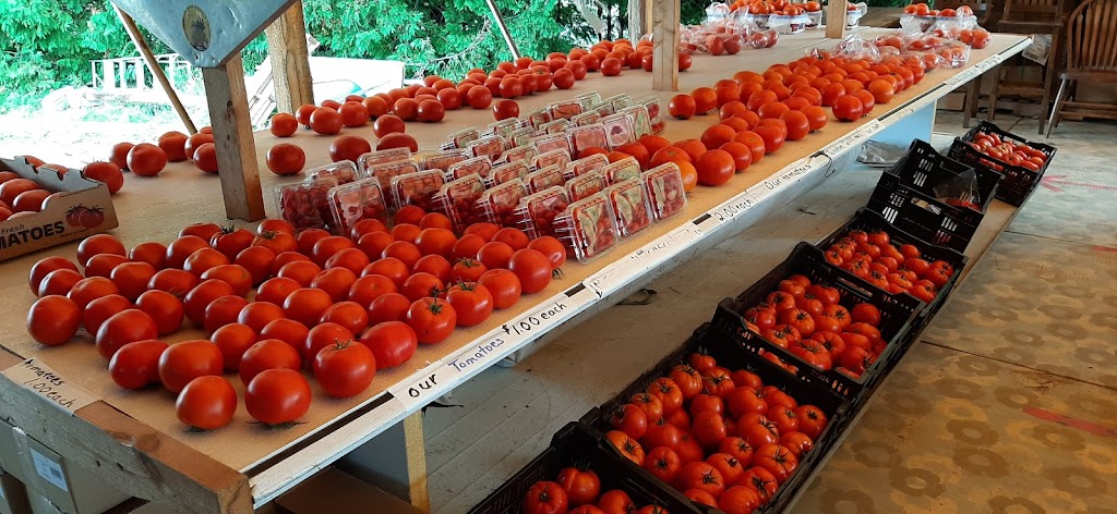 Farm Fresh Produce | 5653 ON-60, Douglas, ON K0J 1S0, Canada | Phone: (647) 821-7883