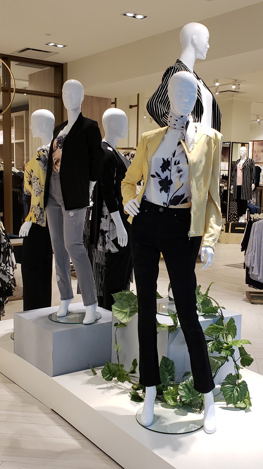 Laura | 900 Maple Ave, Burlington, ON L7S 2J8, Canada | Phone: (905) 681-1667