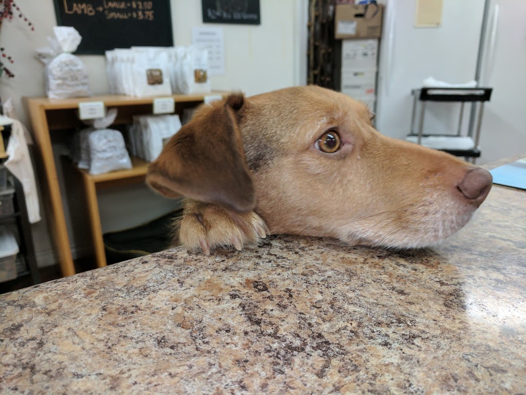 Dogs We Love Inc | 328 Broadway, Orangeville, ON L9W 3M7, Canada | Phone: (519) 940-3598