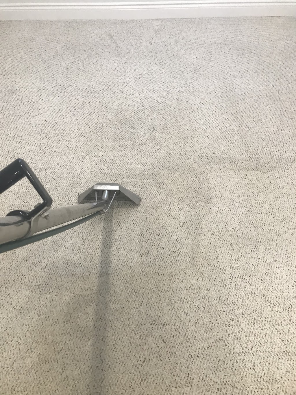 MK Universal Carpet & Furniture Cleaning | 2079 The Collegeway un-85, Mississauga, ON L5L 3M1, Canada | Phone: (416) 823-5577