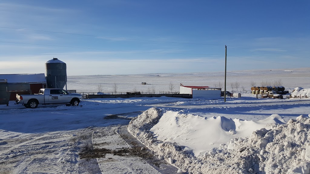 Ron Goat Farm | AB-836, Carbon, AB T0M 0L0, Canada | Phone: (403) 572-3136