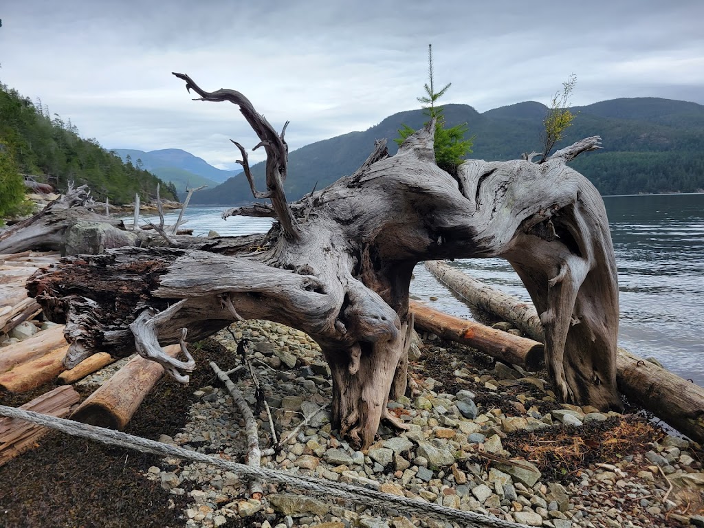 Bamfield Water Taxi | 173 Boardwalk, Bamfield, BC V0R 1B0, Canada | Phone: (250) 728-1295