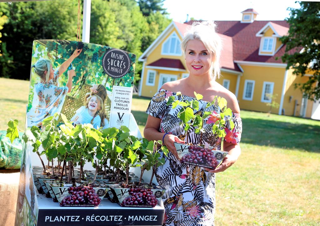 Vignes Chez Soi | 152 Chemin Milton, Granby, QC J2J 0P2, Canada | Phone: (450) 775-0482