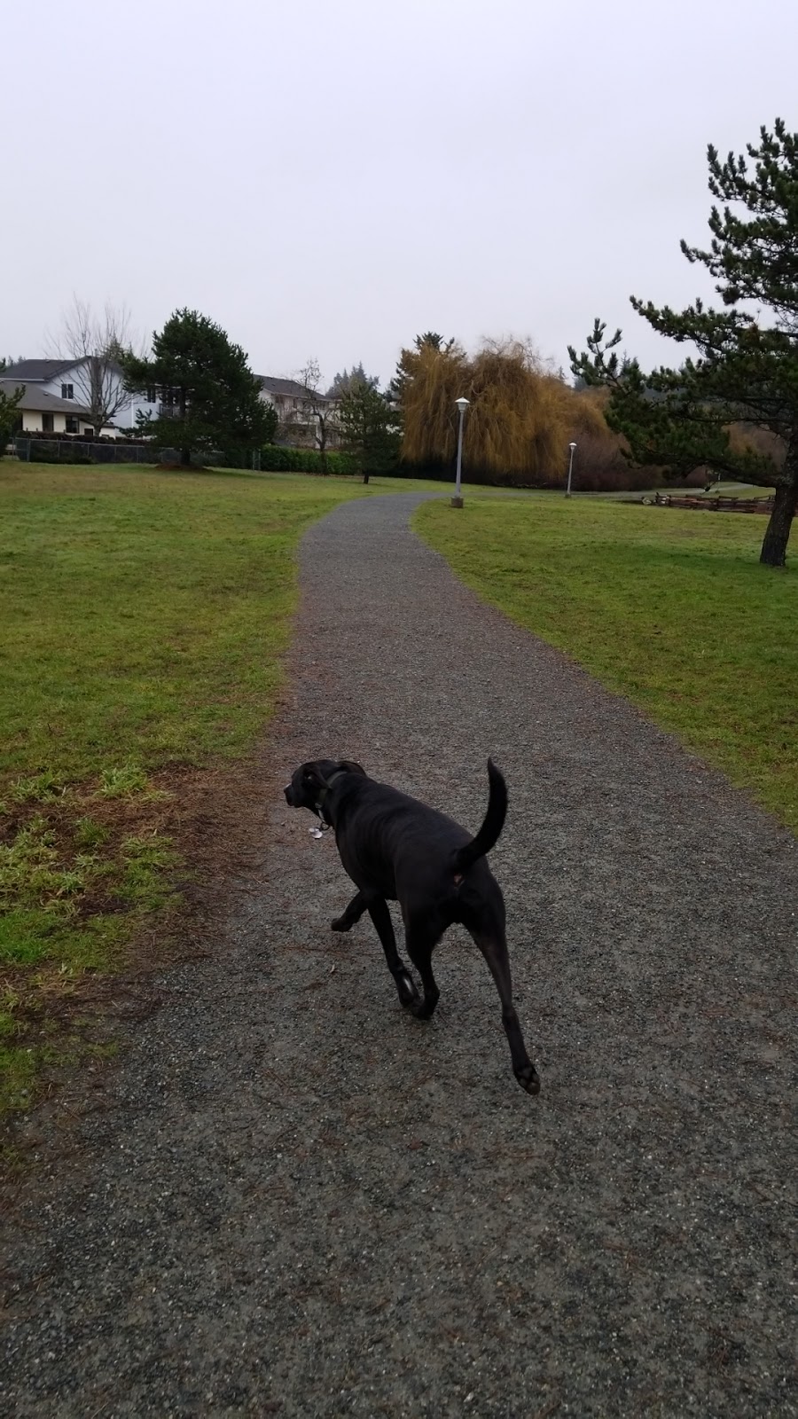 Colwood Creek Park | Brittany Dr, Colwood, BC V9B 5P8, Canada | Phone: (250) 478-5999