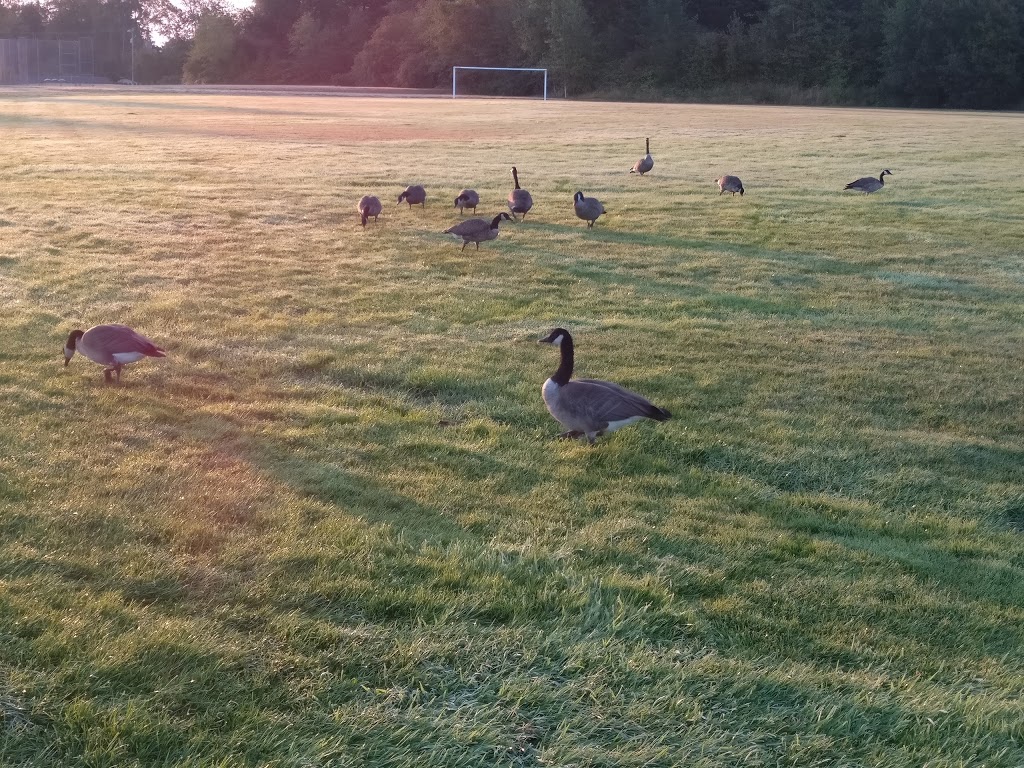Parkland Park. | McDonald Park Rd, North Saanich, BC V8L 5S7, Canada
