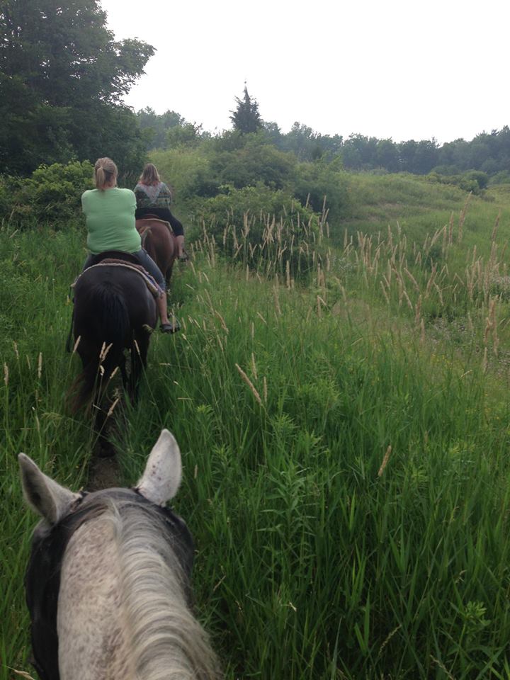 Big Creek Horse Stables - Horseback Riding | 386 Big Creek Rd, Caledonia, ON N3W 2G9, Canada | Phone: (905) 765-5476