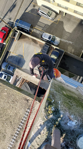 Solutions Pest Control | 6460 Toad Hollow, Whistler, BC V8E 0C5, Canada | Phone: (604) 905-0040