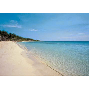 Voyages Bergeron Inc | 7725 R. Saint-Denis, Montréal, QC H2R 2E9, Canada | Phone: (514) 273-3301