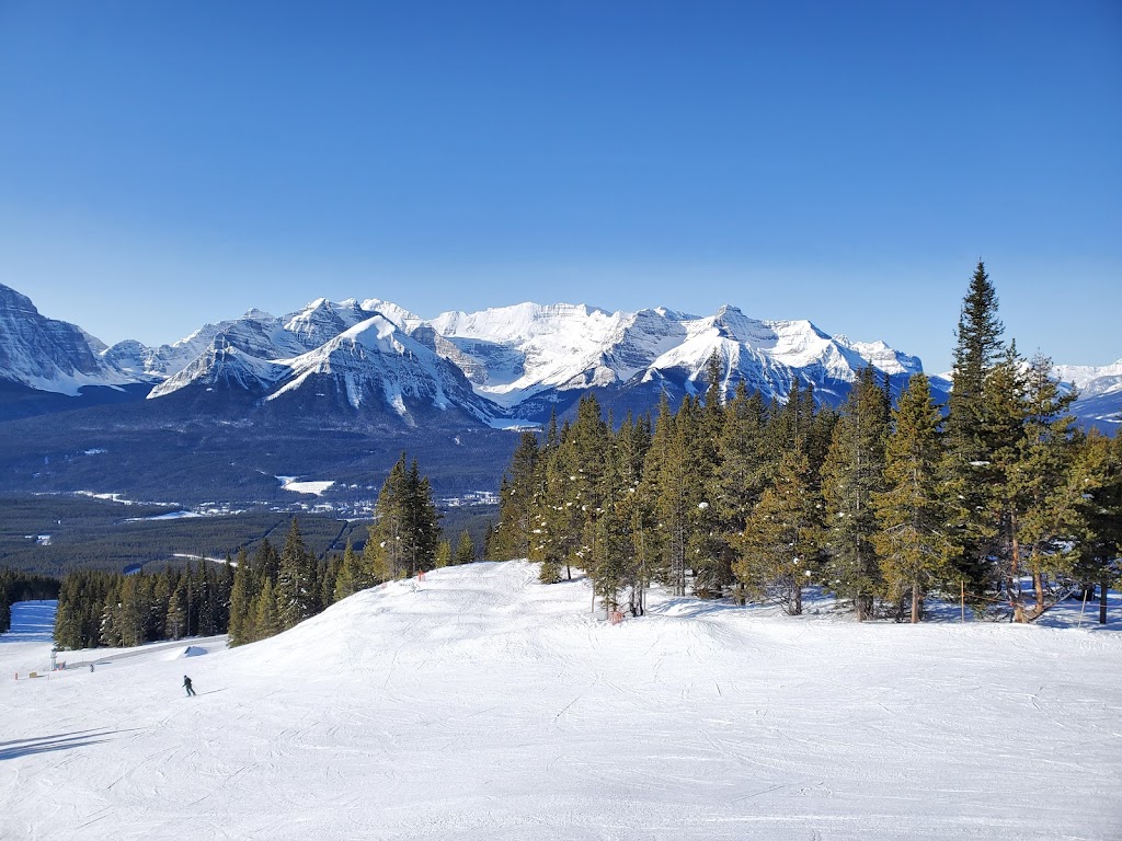 Lake Louise Ski Resort & Summer Gondola | 1 Whitehorn Rd, Lake Louise, AB T0L 1E0, Canada | Phone: (403) 522-3555