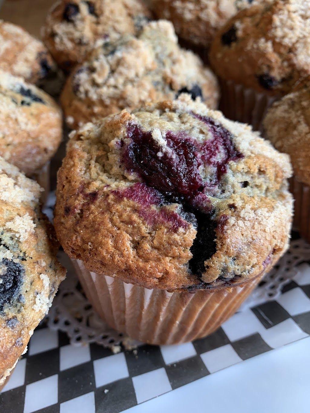 ecotreats | 3867 Squilax-Anglemont Rd, Scotch Creek, BC V0E 1M5, Canada | Phone: (250) 955-2228