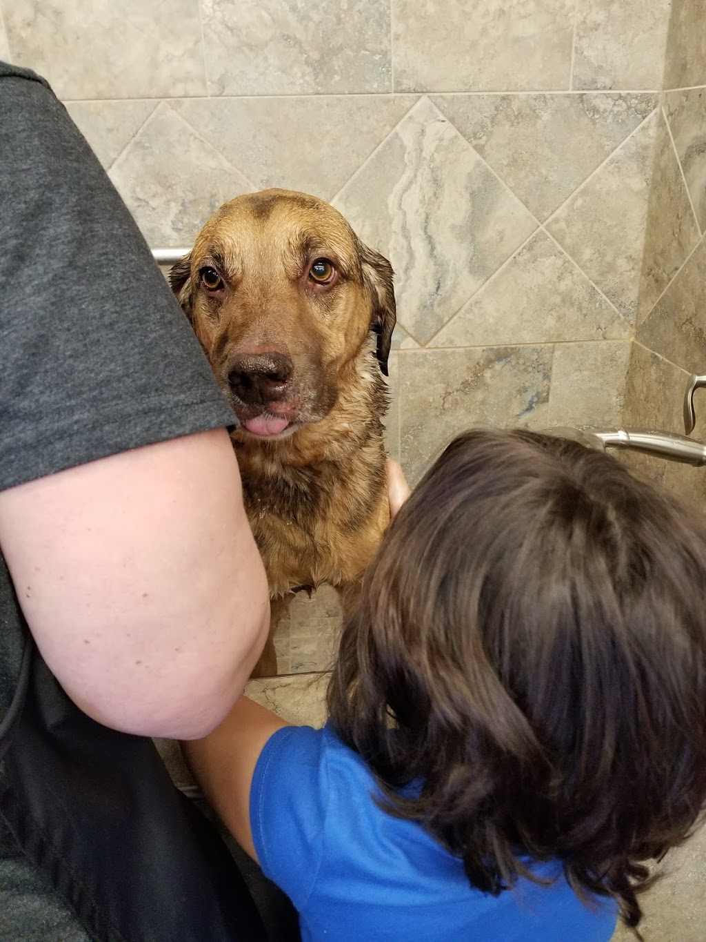 Pet Valu | 50 Sage Creek Blvd, Winnipeg, MB R3X 0J6, Canada | Phone: (204) 257-2724