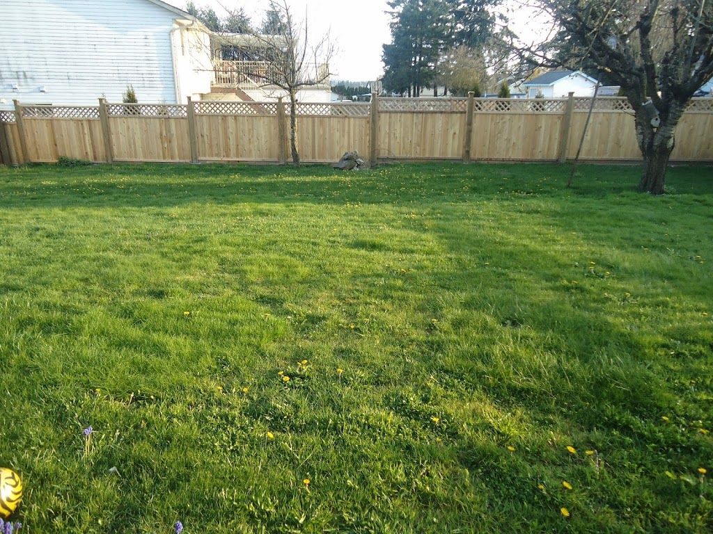 Rise N Shine childcare center # 2 | 16784 80 Ave, Surrey, BC V4N 0G9, Canada | Phone: (604) 779-1940