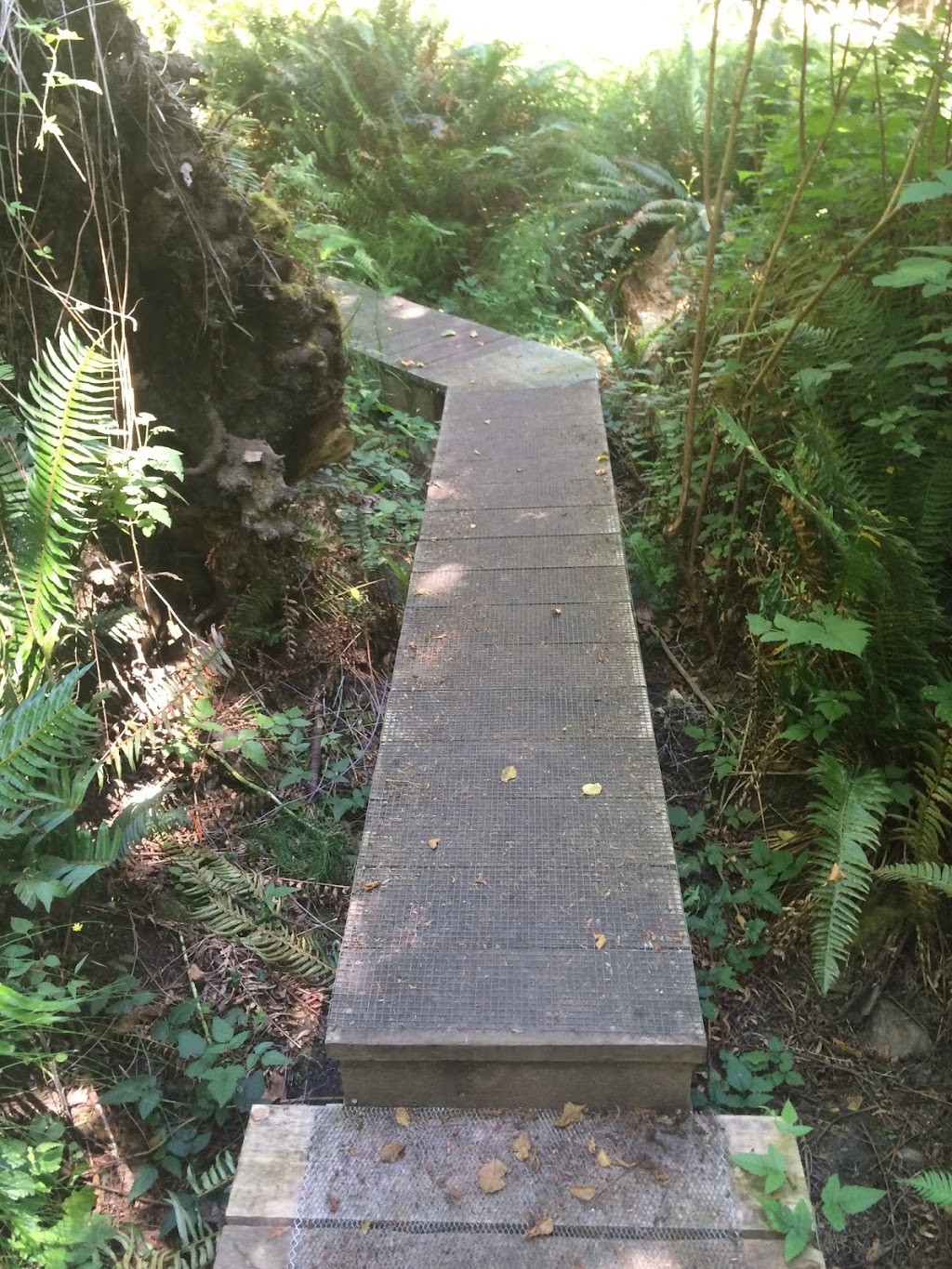 Found Road Trail | Canal Rd, Pender Island, BC V0N 2M3, Canada