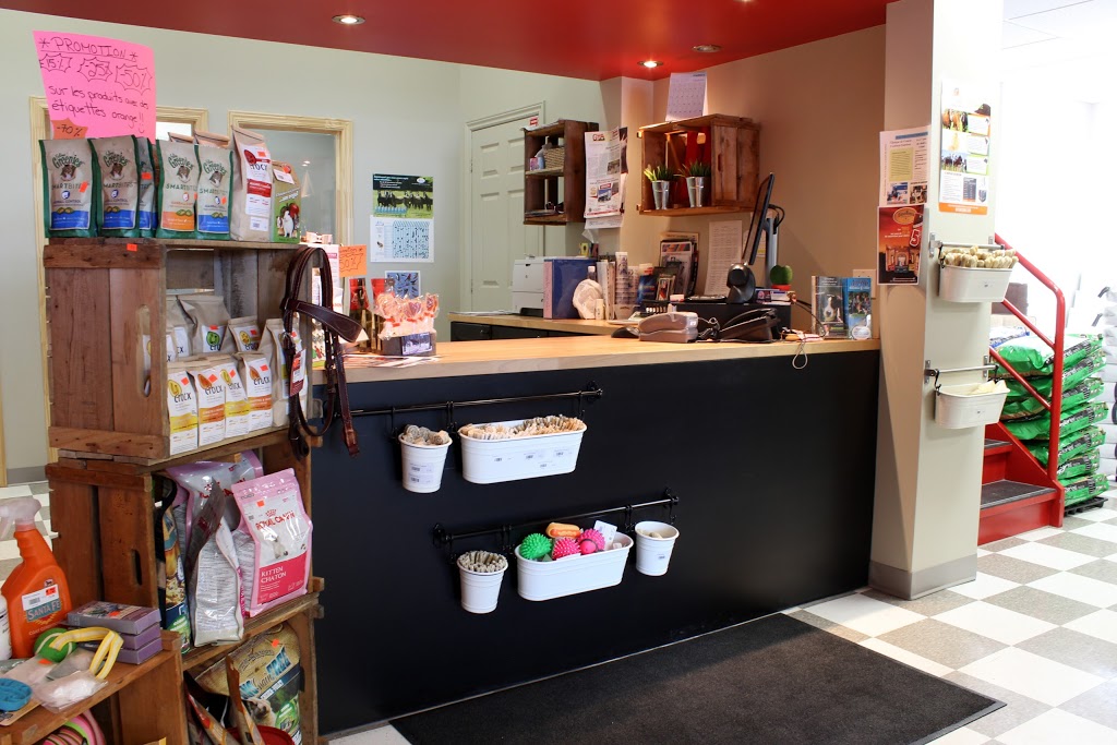 Les Moulées Bellifrance | 6260 Boulevard Laframboise, Saint-Hyacinthe, QC J2R 1G2, Canada | Phone: (450) 253-5537