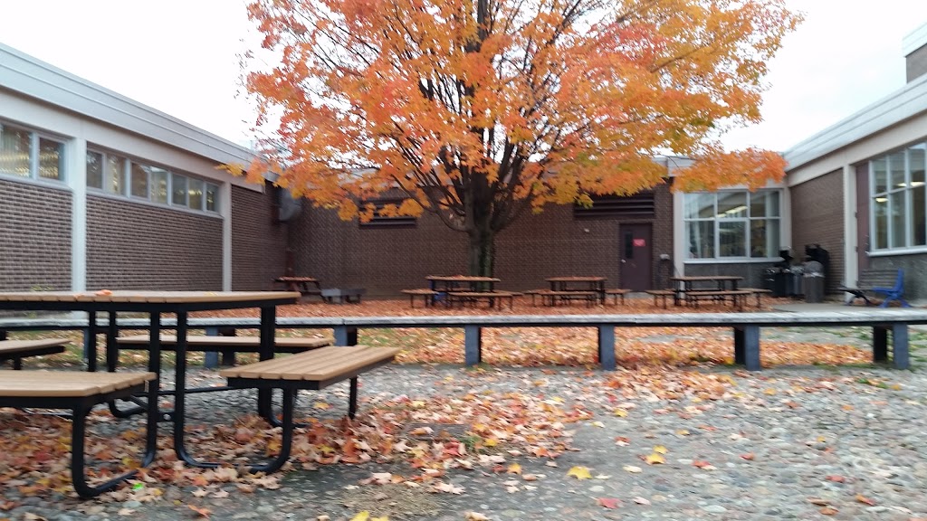 Bayview Secondary School | 10077 Bayview Ave, Richmond Hill, ON L4C 2L4, Canada | Phone: (905) 884-4453