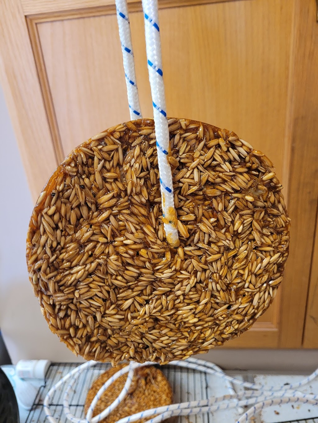 Sisters Horse Treats | 25531, Township Rd 381, AB T4G 1E3, Canada | Phone: (403) 307-7820