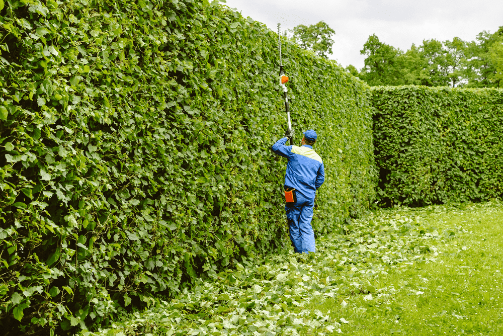 VIP Lawn Service | 7 Tower St, Dieppe, NB E1A 2G6, Canada | Phone: (506) 740-7537