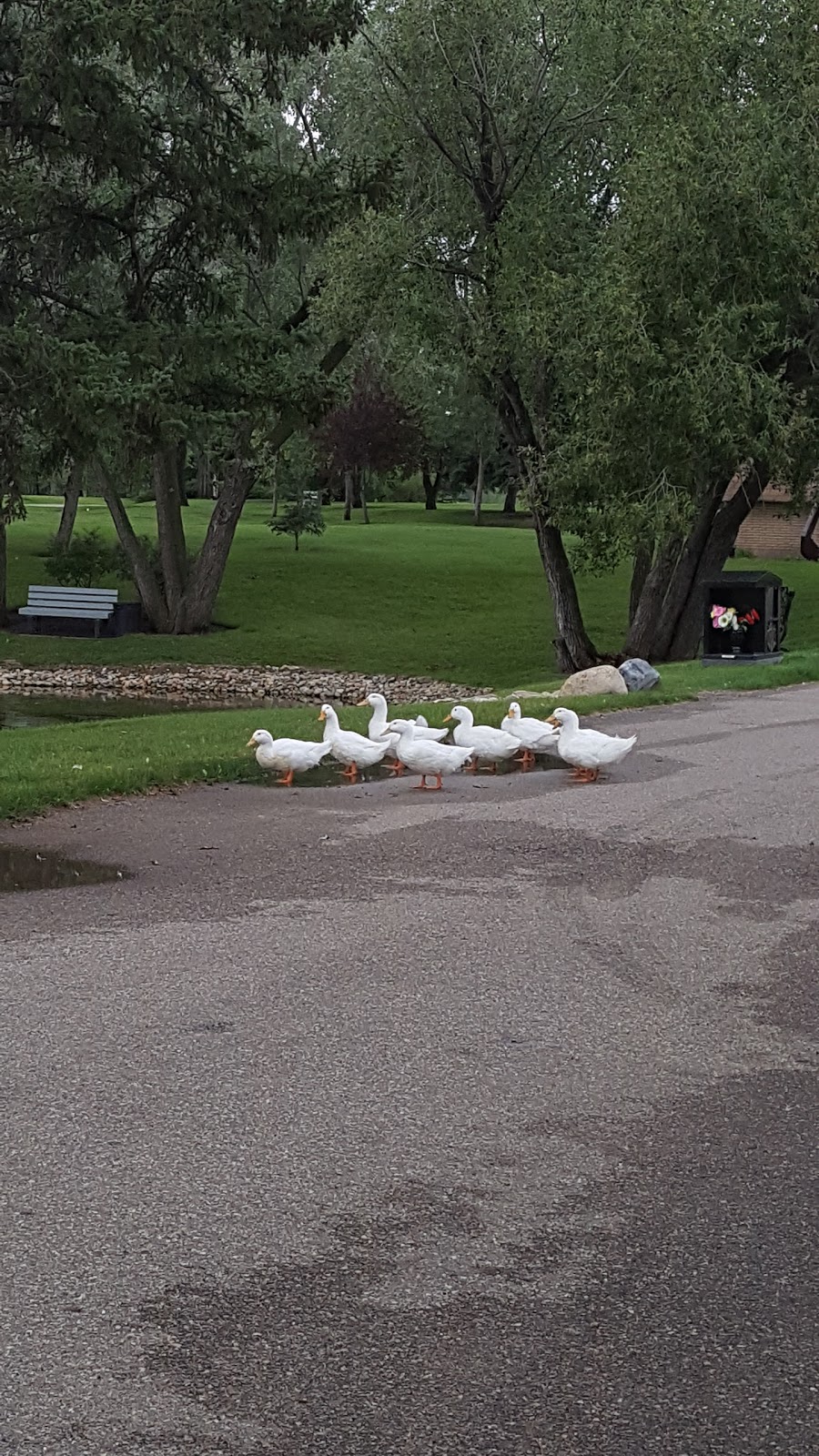 Prince Albert Memorial Gardens | RR 2 Stn Mpp Site 4 Comp. 94, Prince Albert, SK S6V 5P9, Canada | Phone: (306) 764-4824