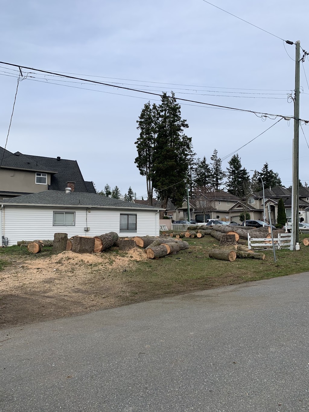 Nick Landscaping & Tree-Cutting Service Ltd | 12138 95a Ave, Surrey, BC V3V 1P8, Canada | Phone: (778) 855-3400