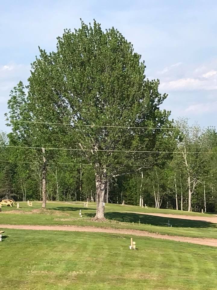 Peaceful River Campground Ltd. | 120 MacIntosh Rd, Scotsburn, NS B0K 1R0, Canada | Phone: (902) 351-3416