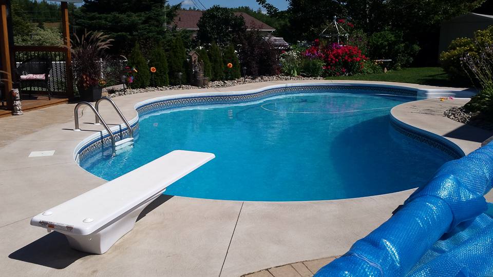 Douthwright Swimming Pool Ltd | 37 Rebecca Ave, Riverview, NB E1B 0L3, Canada | Phone: (506) 386-5276
