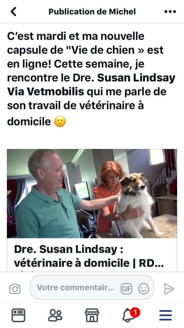 veterinaire a domicile Vetmobilis.com | 1312 Rue de Montarville, Saint-Bruno-de-Montarville, QC J3V 3T4, Canada | Phone: (514) 773-7007