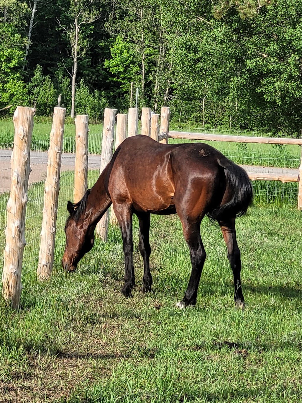 Madawaska Valley Retreat | 1661 Lower Craigmont Rd, Combermere, ON K0J 1L0, Canada | Phone: (416) 986-3429