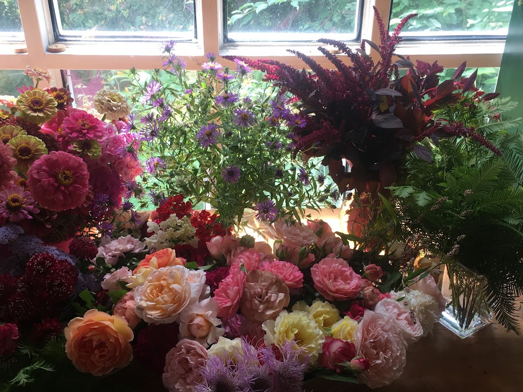 Owl Grove Roses | 1 Harbour St, Brighton, ON K0K 1H0, Canada | Phone: (905) 375-4375