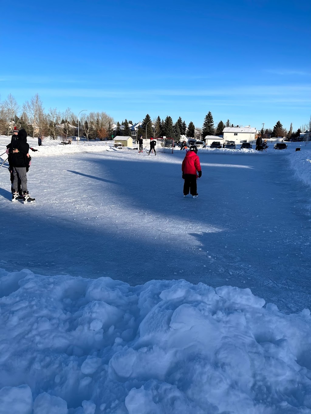 NHCA Harvest Ice Rink | 520 Harvest Lake Dr NE, Calgary, AB T3K 4C3, Canada | Phone: (403) 226-6422