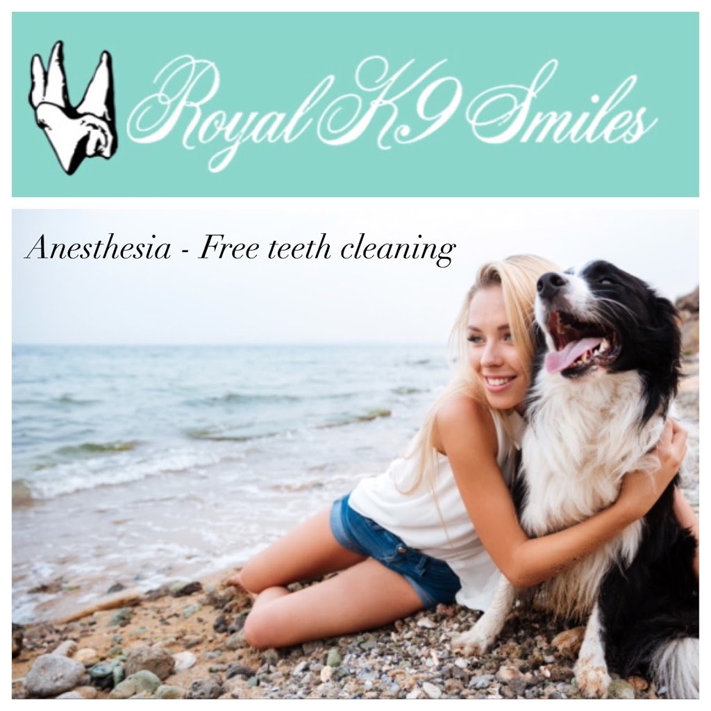 Royal K9 Smiles | 3416 Galloway Ave, Coquitlam, BC V3E 0B8, Canada | Phone: (778) 848-0994