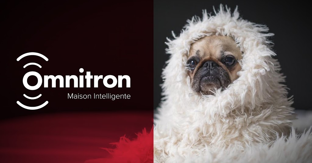 Alarme Omnitron Inc. | 127 Boul Sir-Wilfrid-Laurier Suite 101, Saint-Basile-le-Grand, QC J3N 1M2, Canada | Phone: (514) 933-3202